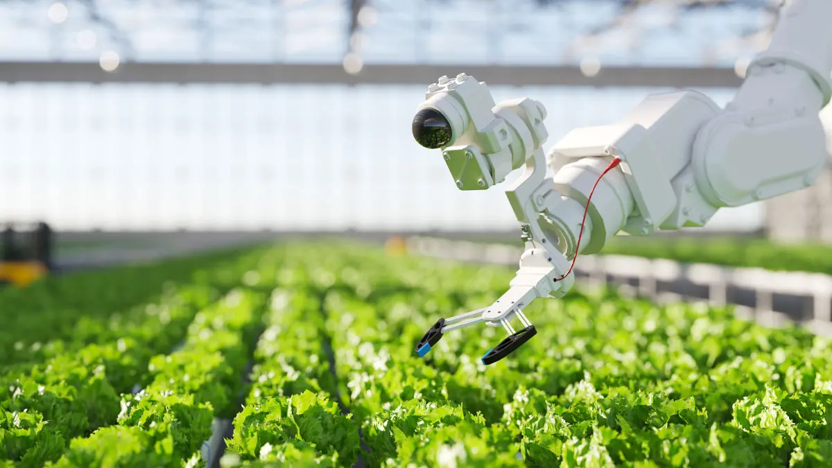 hydroponic robot farming
